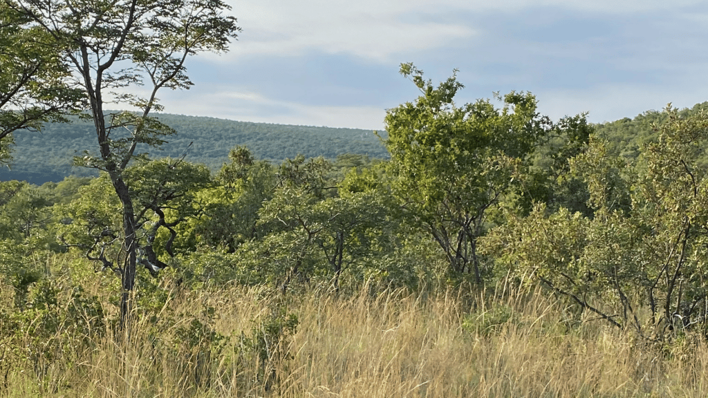 Shambala Game Reserve Umgebung 2