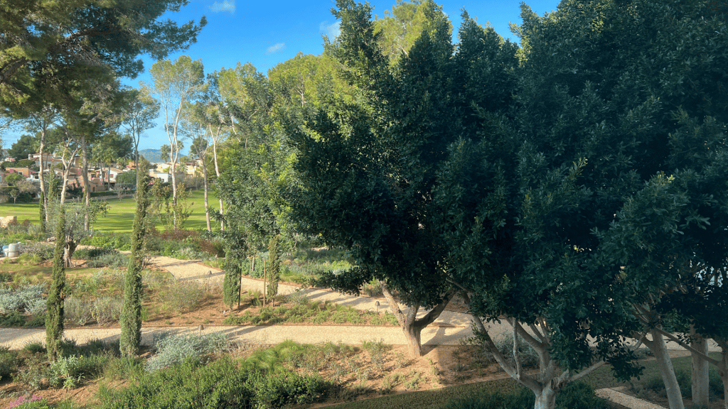 Kimpton Aysla Mallorca Garten