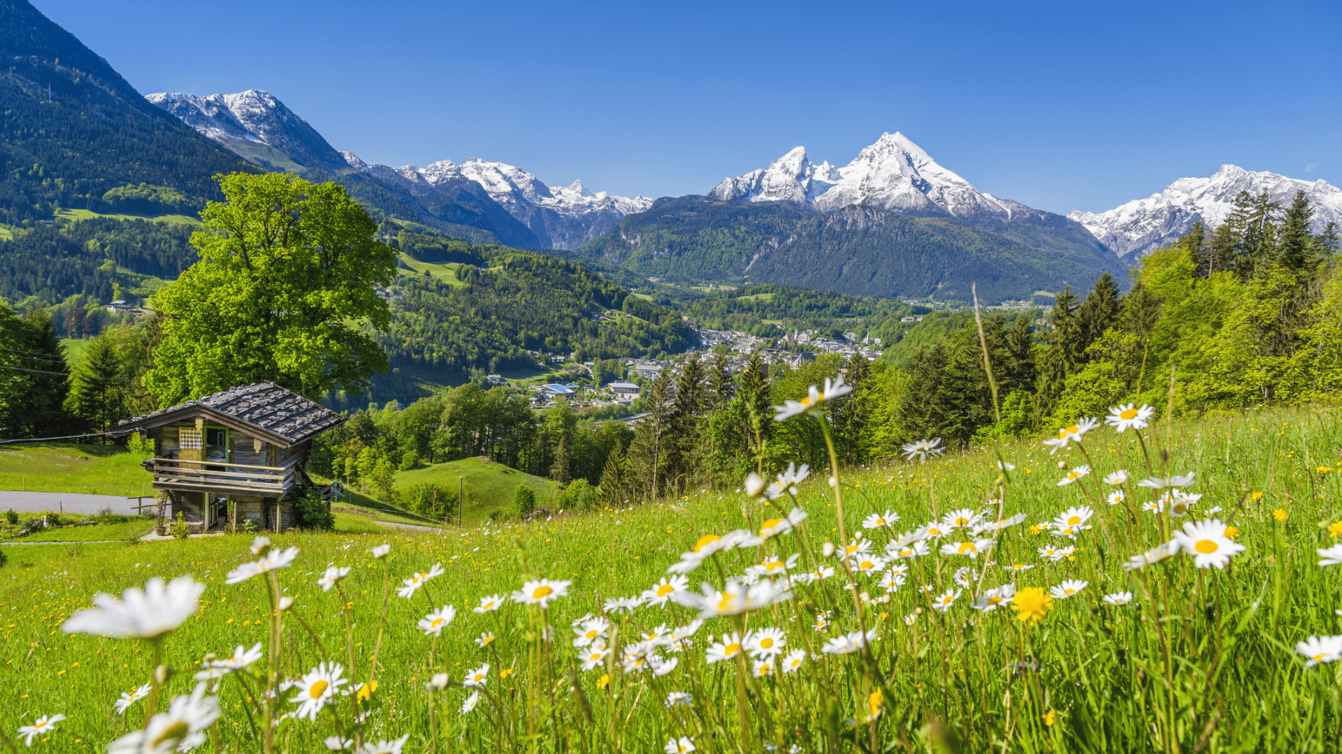 Alpine Landschaft Bayern