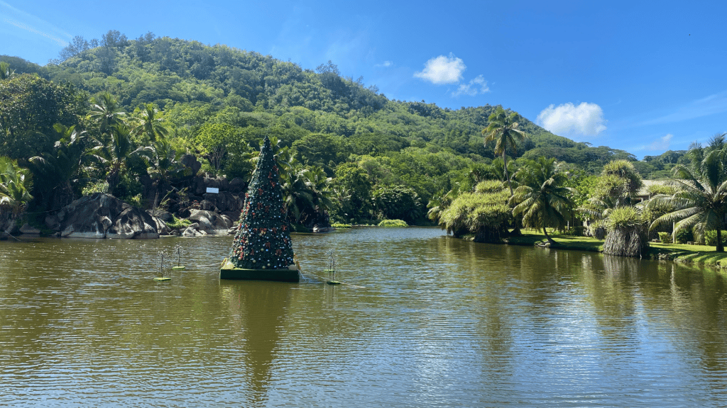 Kempinski Seychelles Anlage Weihnachtsbaum