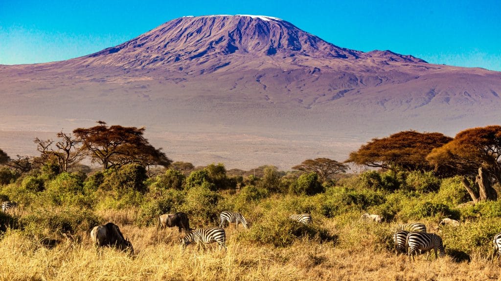 Kilimanjaro