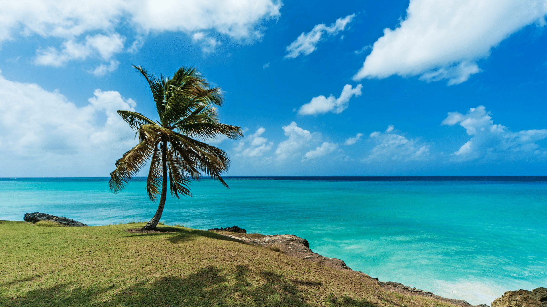 Costa Pacifica Karibik Barbados