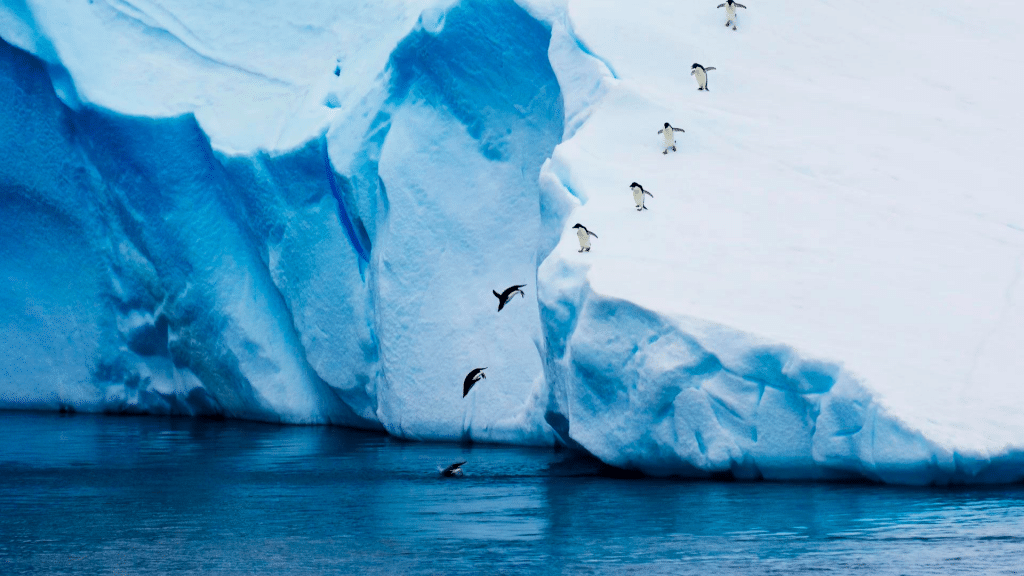 Hurtigruten Große Expeditionsreisen