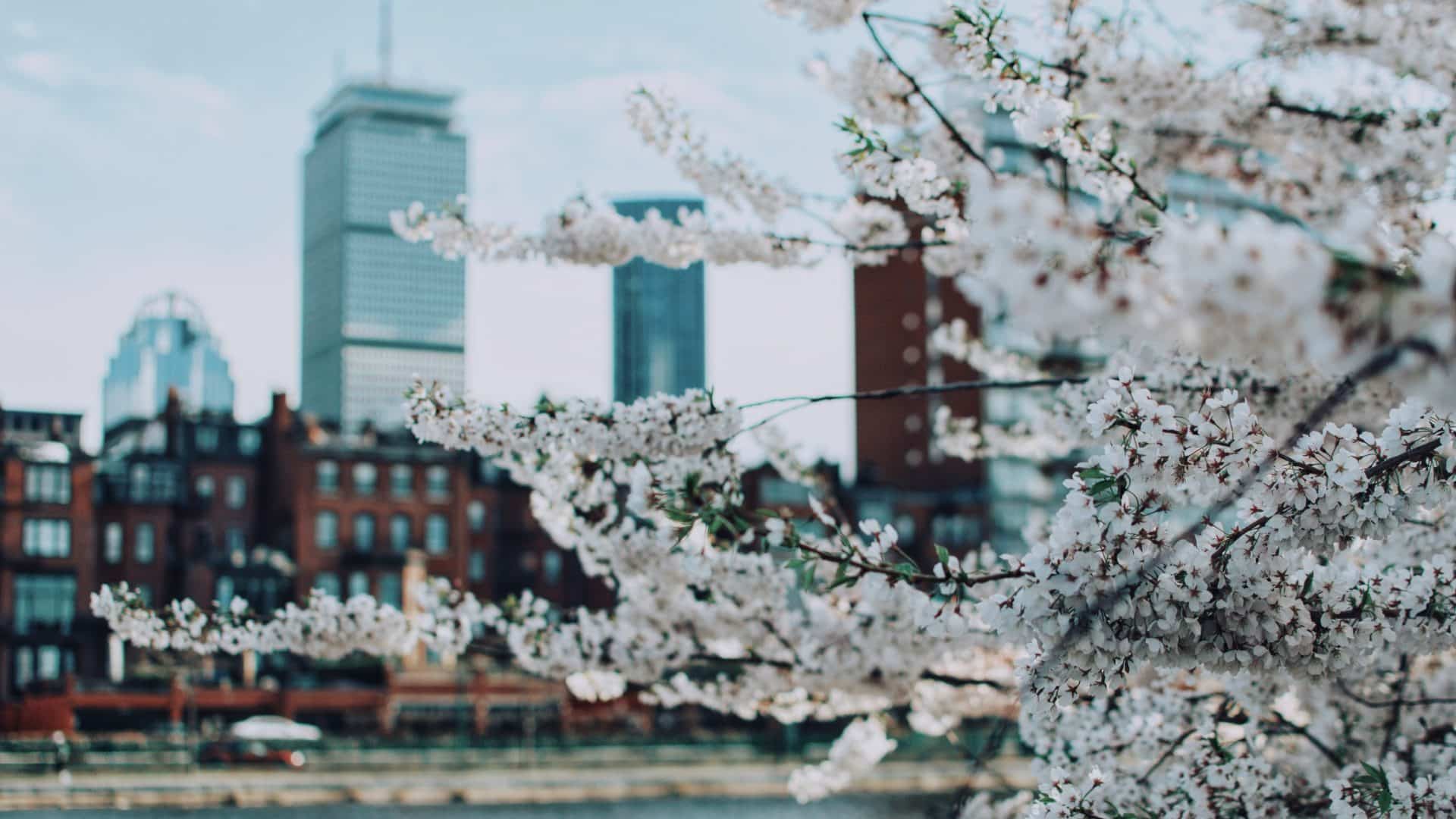 Boston Spring
