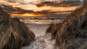 Sylt Strand Duenen