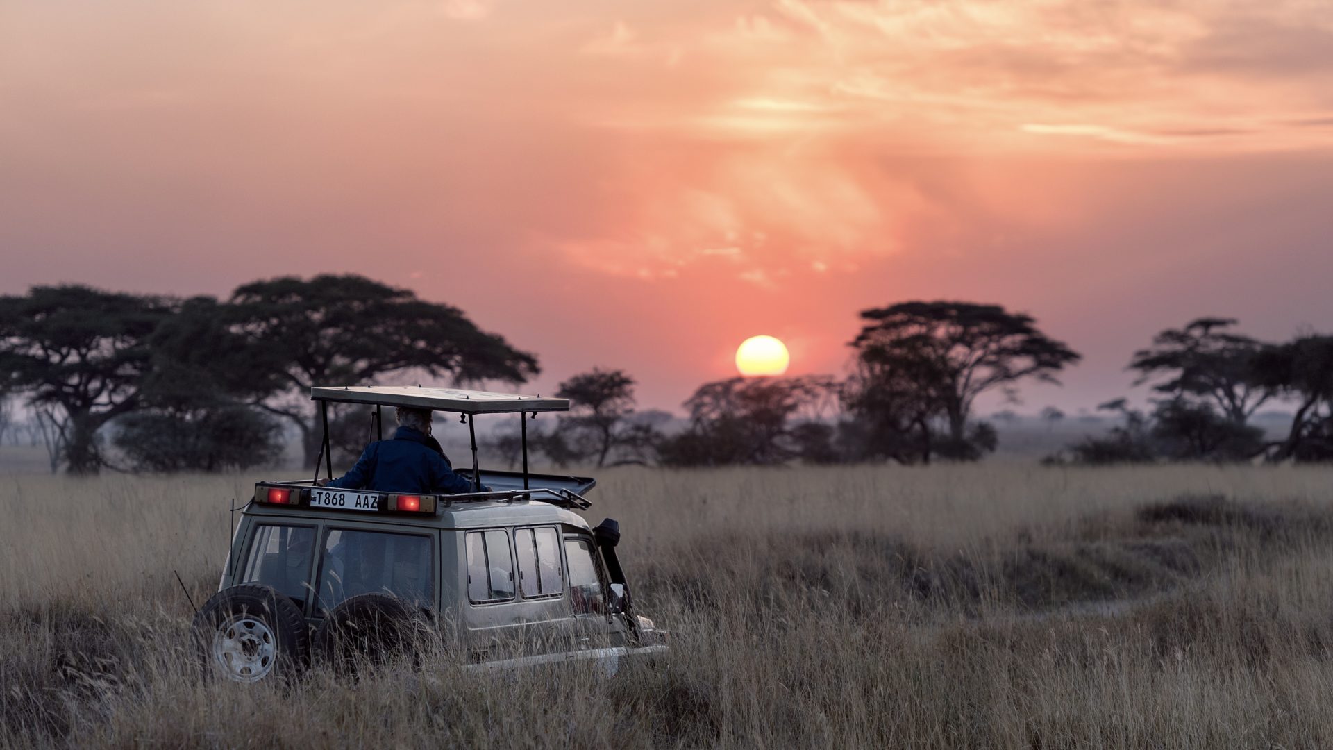 Tansania, Safari