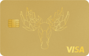 Bank Norwegian Visa