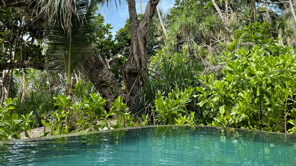 Nikoi Island - Pool