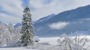 Schnee Kaernten Oesterreich 