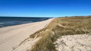 Sylt