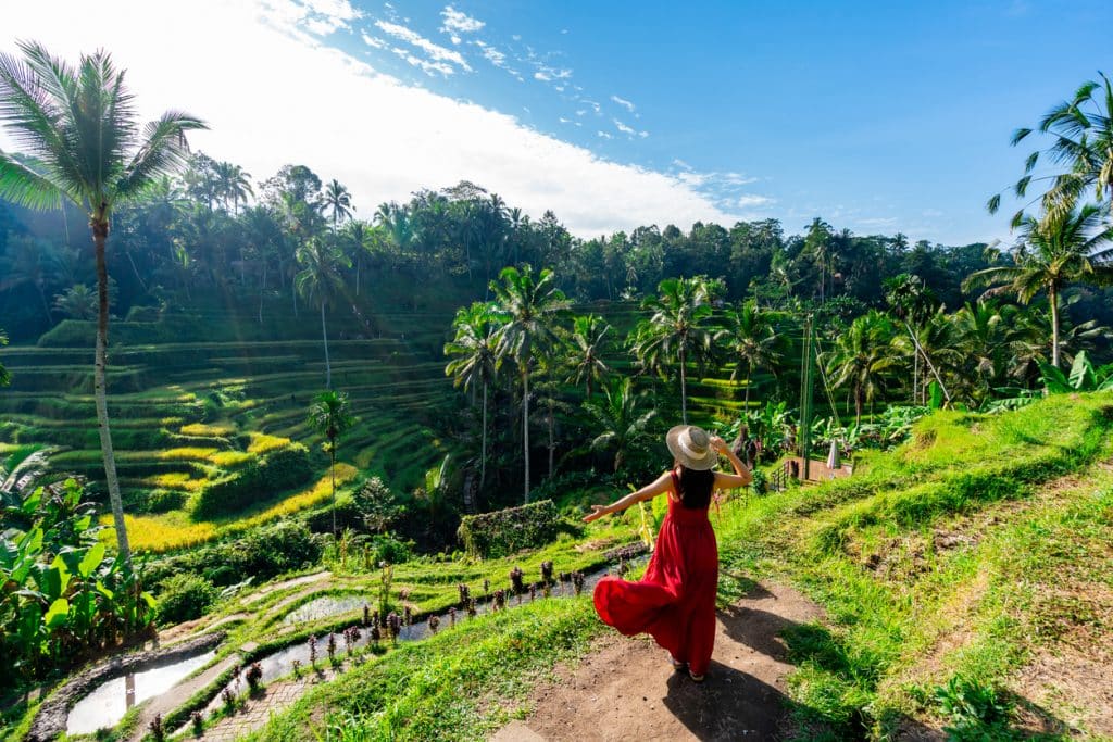 Young Female Tourist In Red Dress Looking At The Beautiful Tegalalang Rice Terrace In Bali, Indonesia