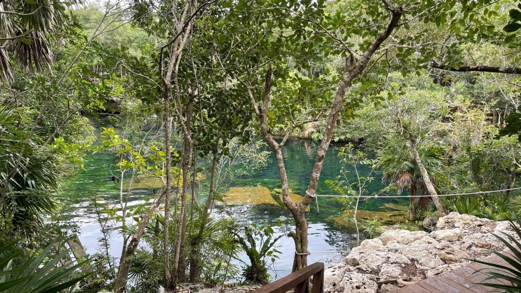 Cenote Azul Mahahual
