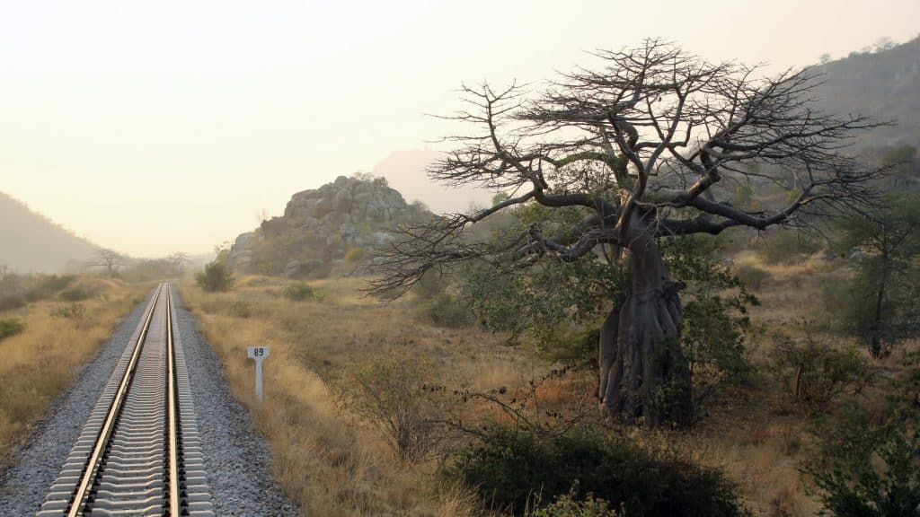 Rovos Rail Africa Landscape