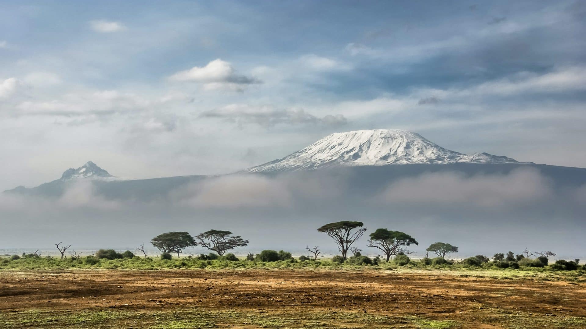 Kenia Baumpflanzen Touristen