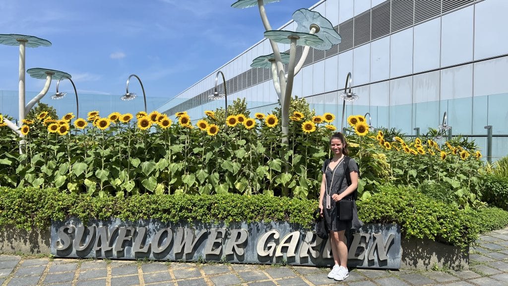Sunflower Garden am Changi Airport