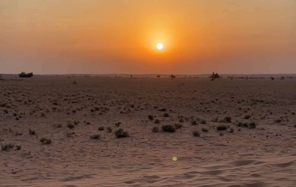 Sonnenaufgang Al Maha