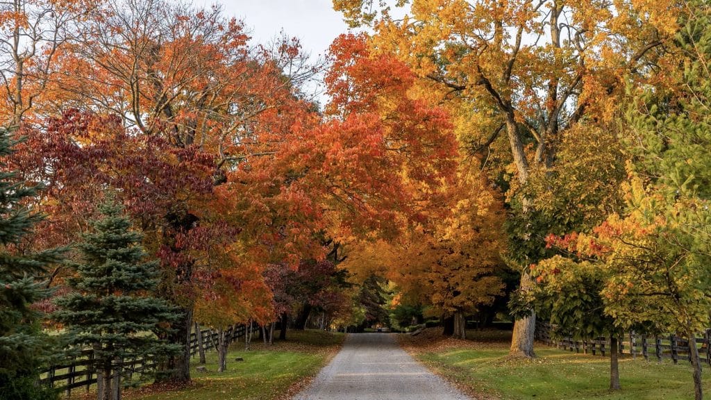 Foxburg PA 