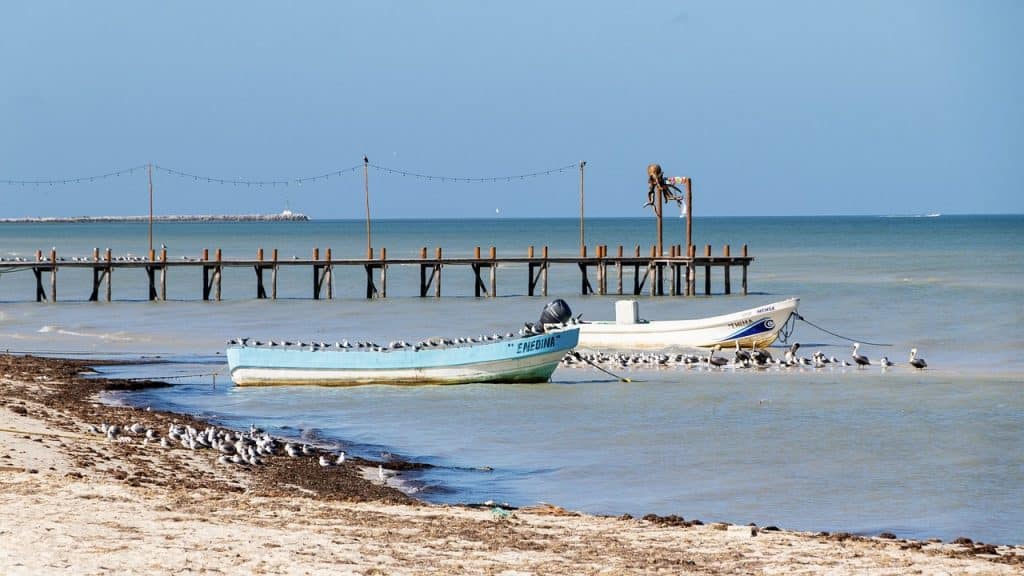 Yucatan Halbinsel Mexico