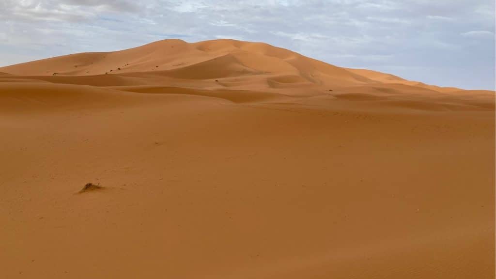 Sahara 1