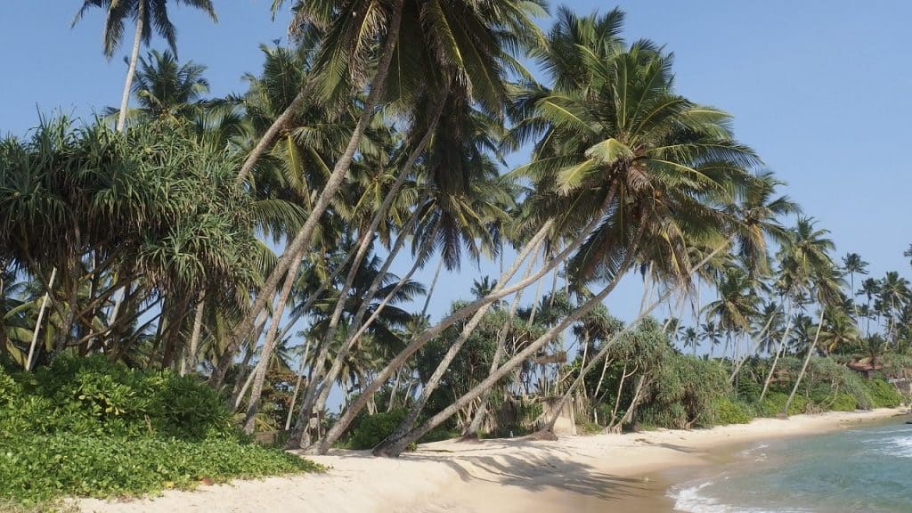 Sri Lanka