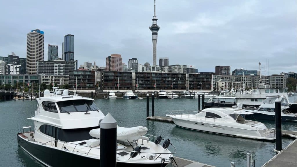 Auckland Hafen Und Skyline