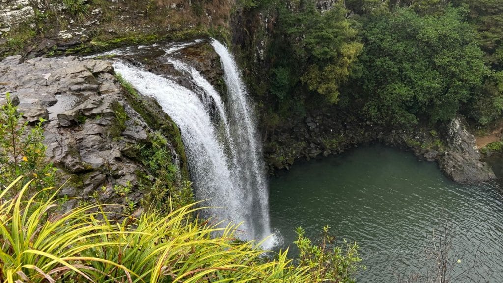 Auckland Roadtrip Wasserfall