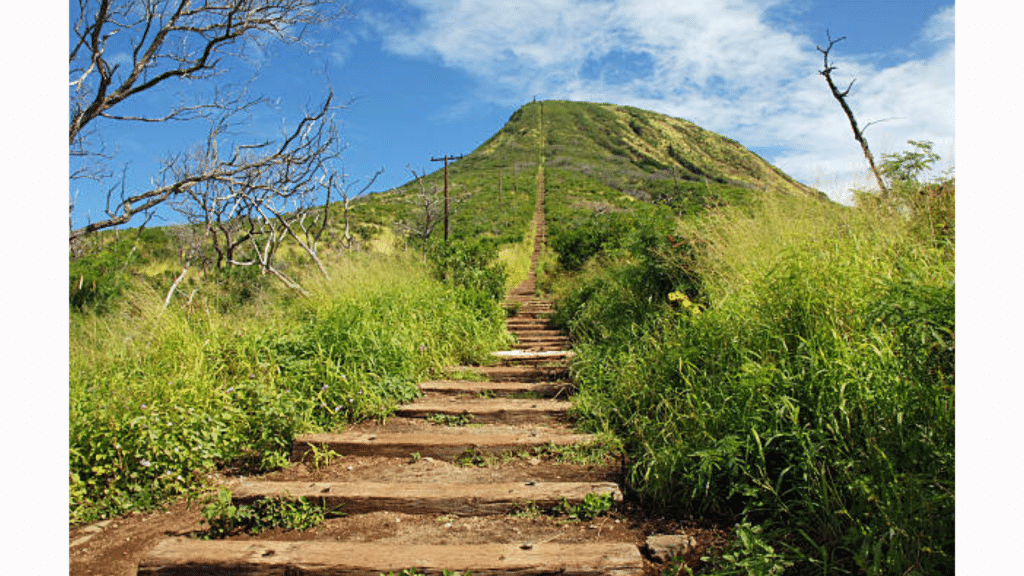 Oahu Hawaii Koko Head Trail