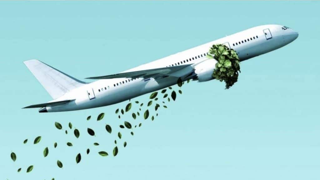 Sustainable Aviation Fuels