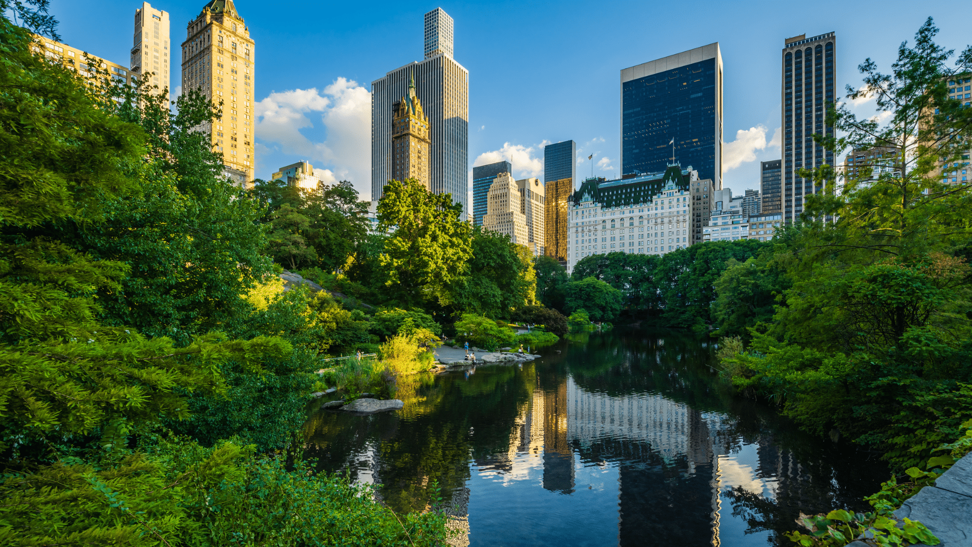 Central Park New York City