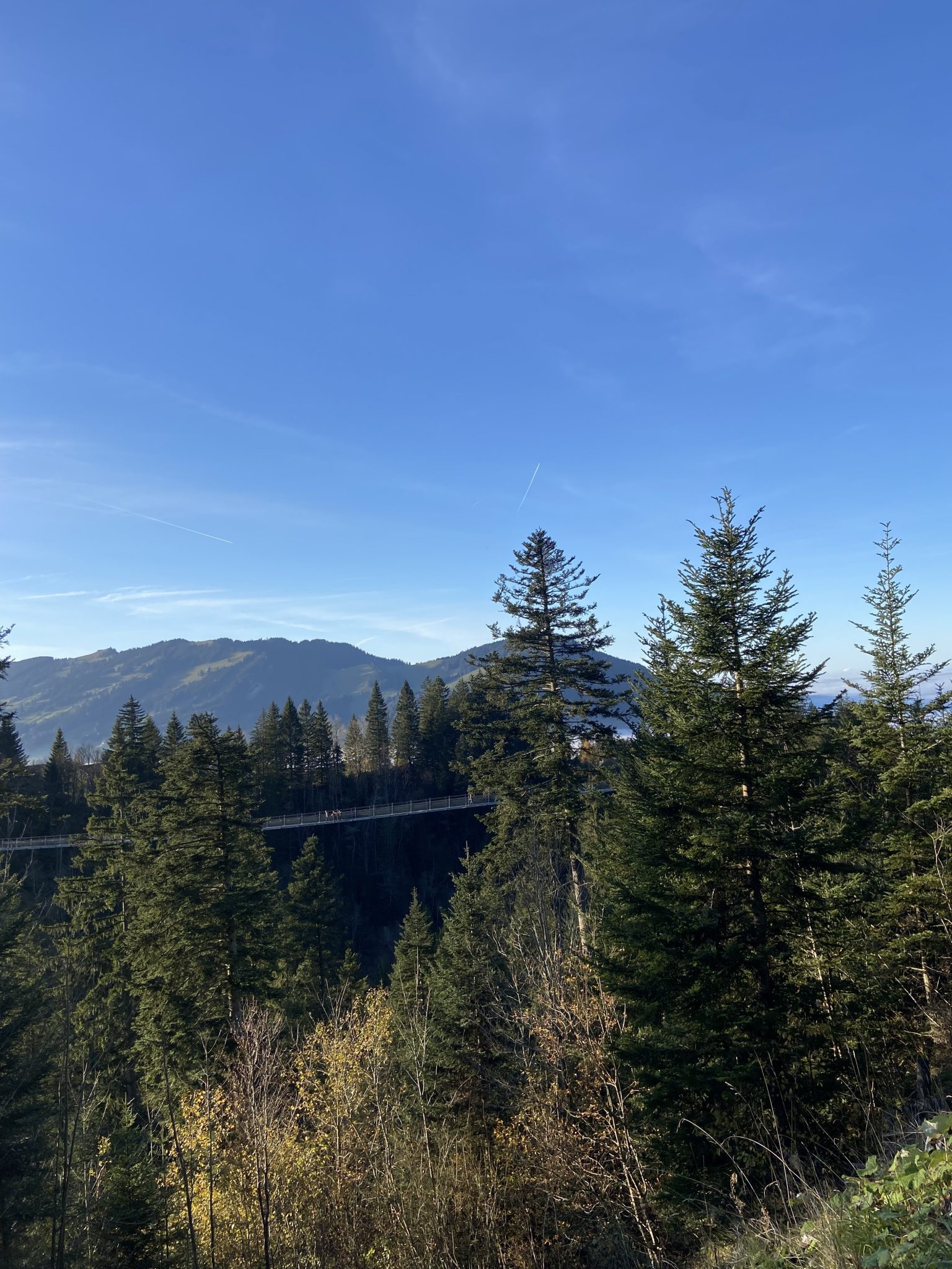 Mostelberg Im Kanton Schwyz Bruecke