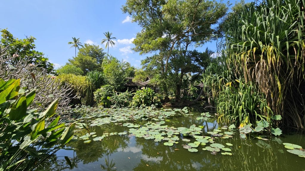 Anantara Mai Khao Phuket Villas 2