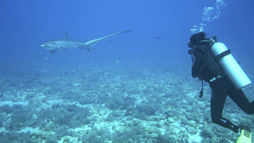 Insel Malapascua - Philippinen - Simone