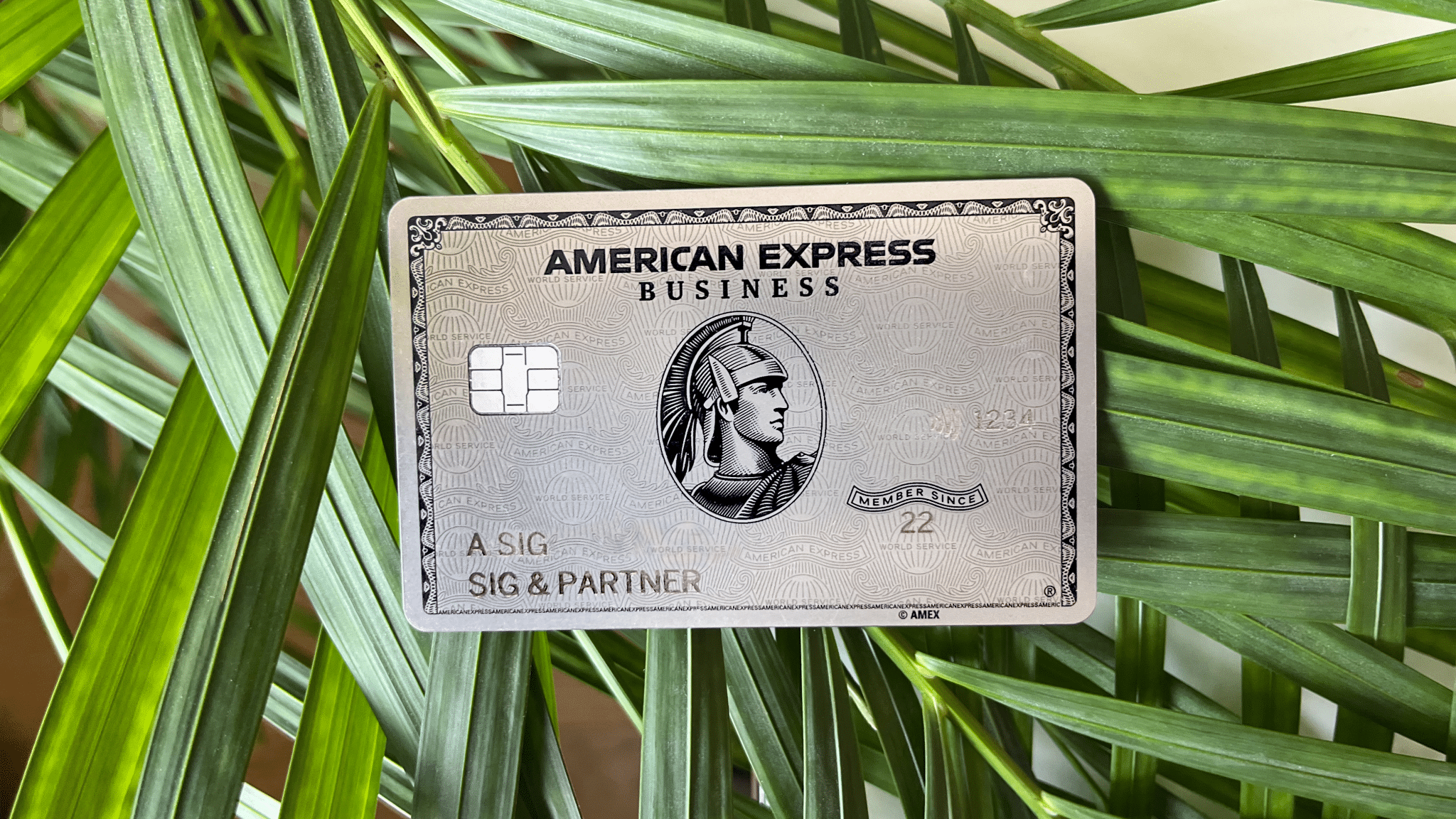 American Express Business Platinum Card 200 000 Punkte Erfahrungen American Express Business Platinum Card 200 000 Punkte Erfahrungen