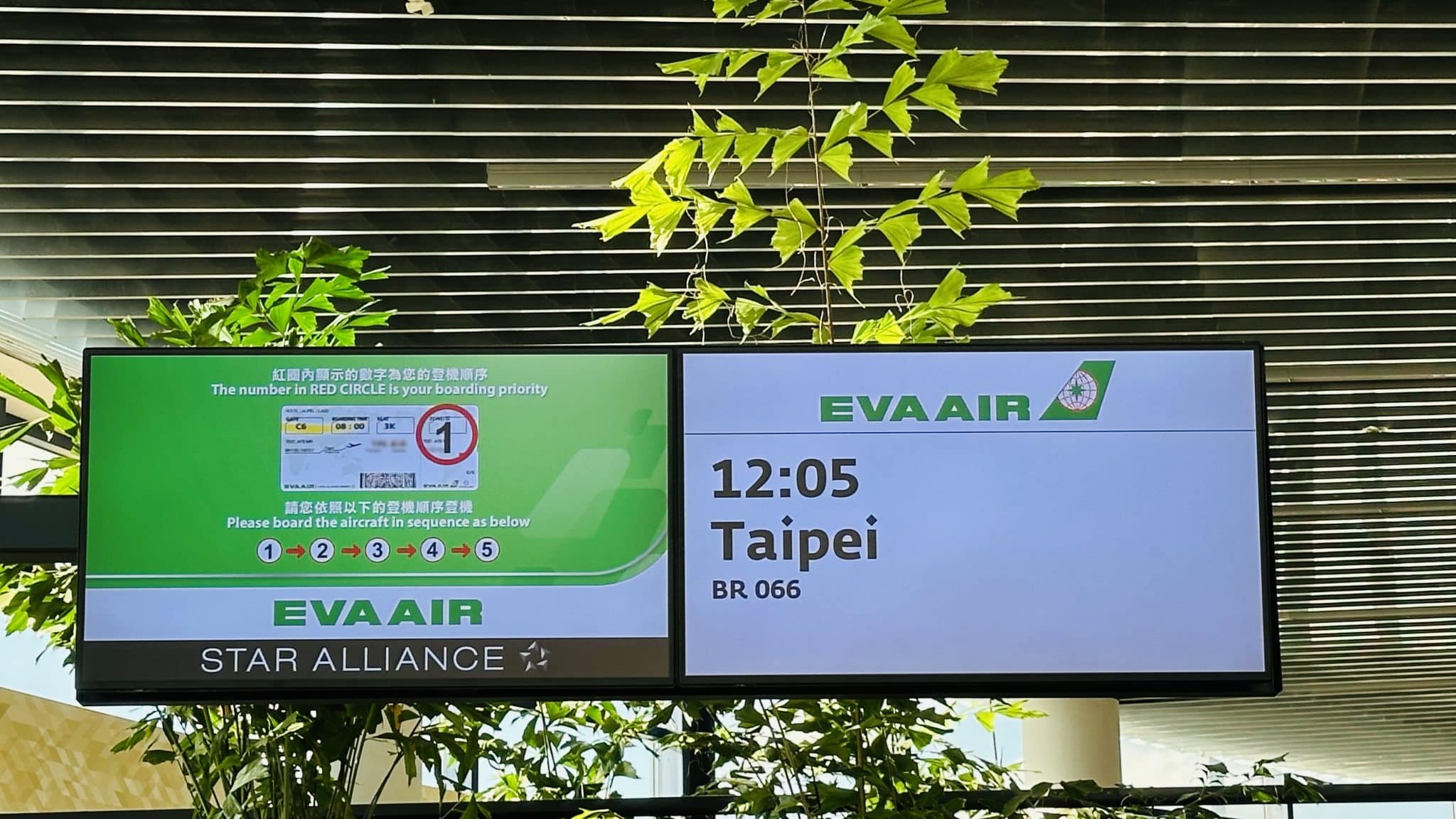 EVA Air Business Class Boeing 787-10