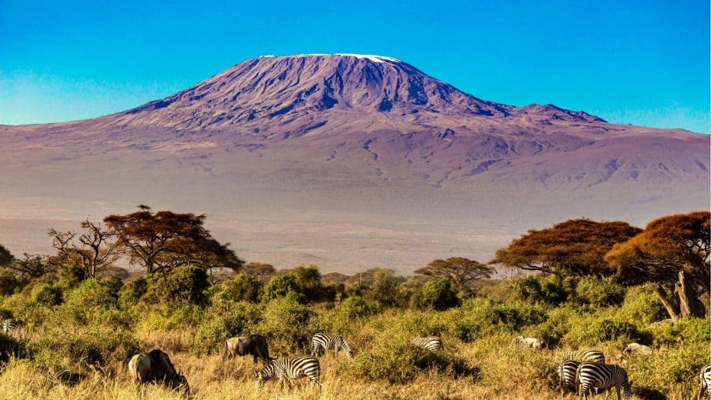 Kilimandscharo