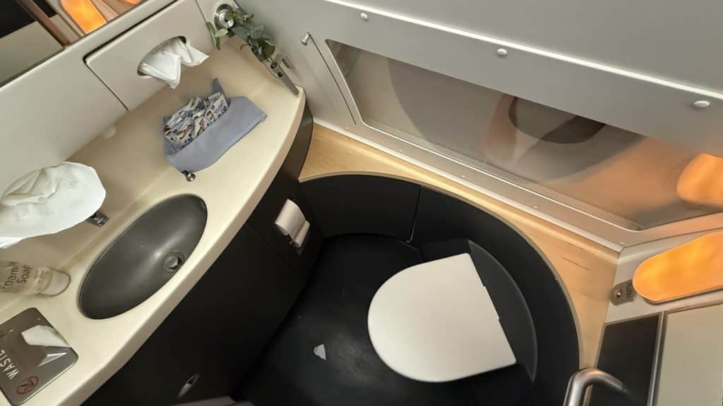 Sas Business Class Airbus A330 Toilette