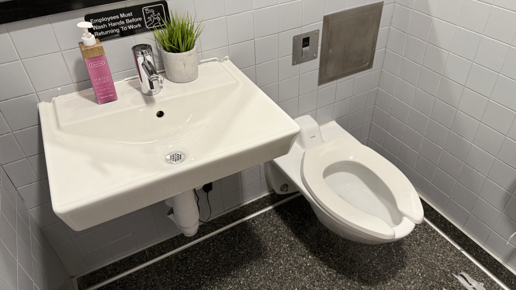 Sas Lounge Newark Toilette