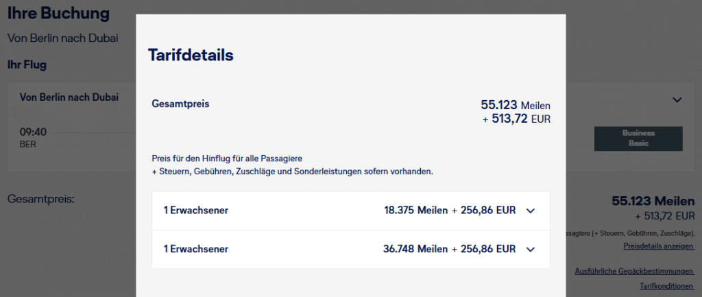 Companion BER DXB Business Oneway