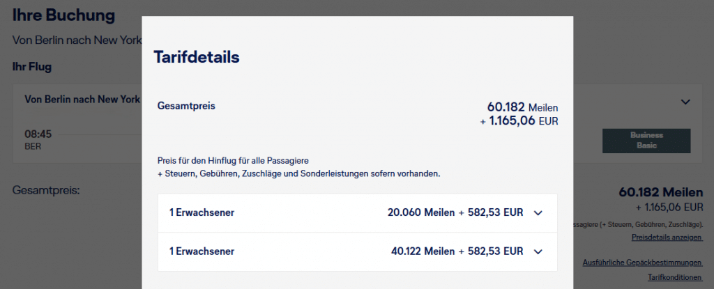 Companion BER JFK Business Oneway