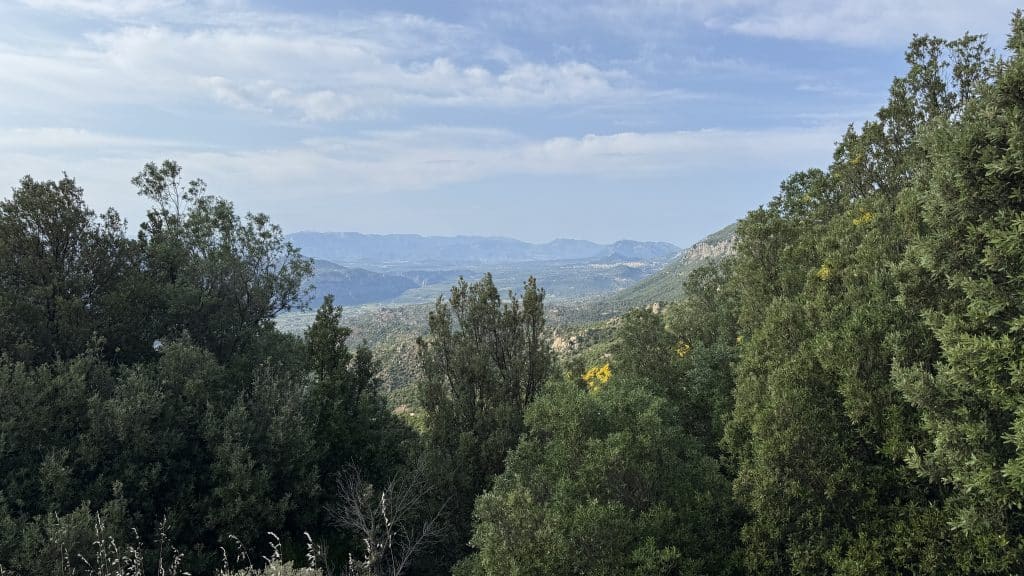 Gebirgslandschaft Sardinien