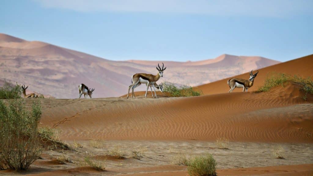 Namibia