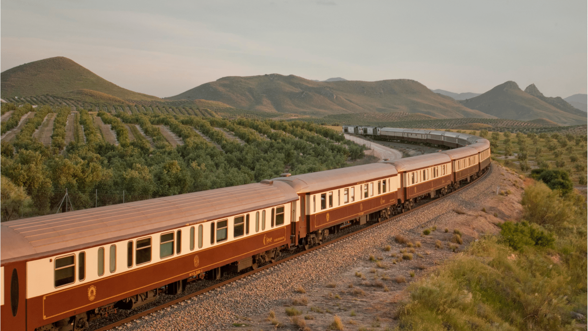 Al Andalus Olivos En Linares 02