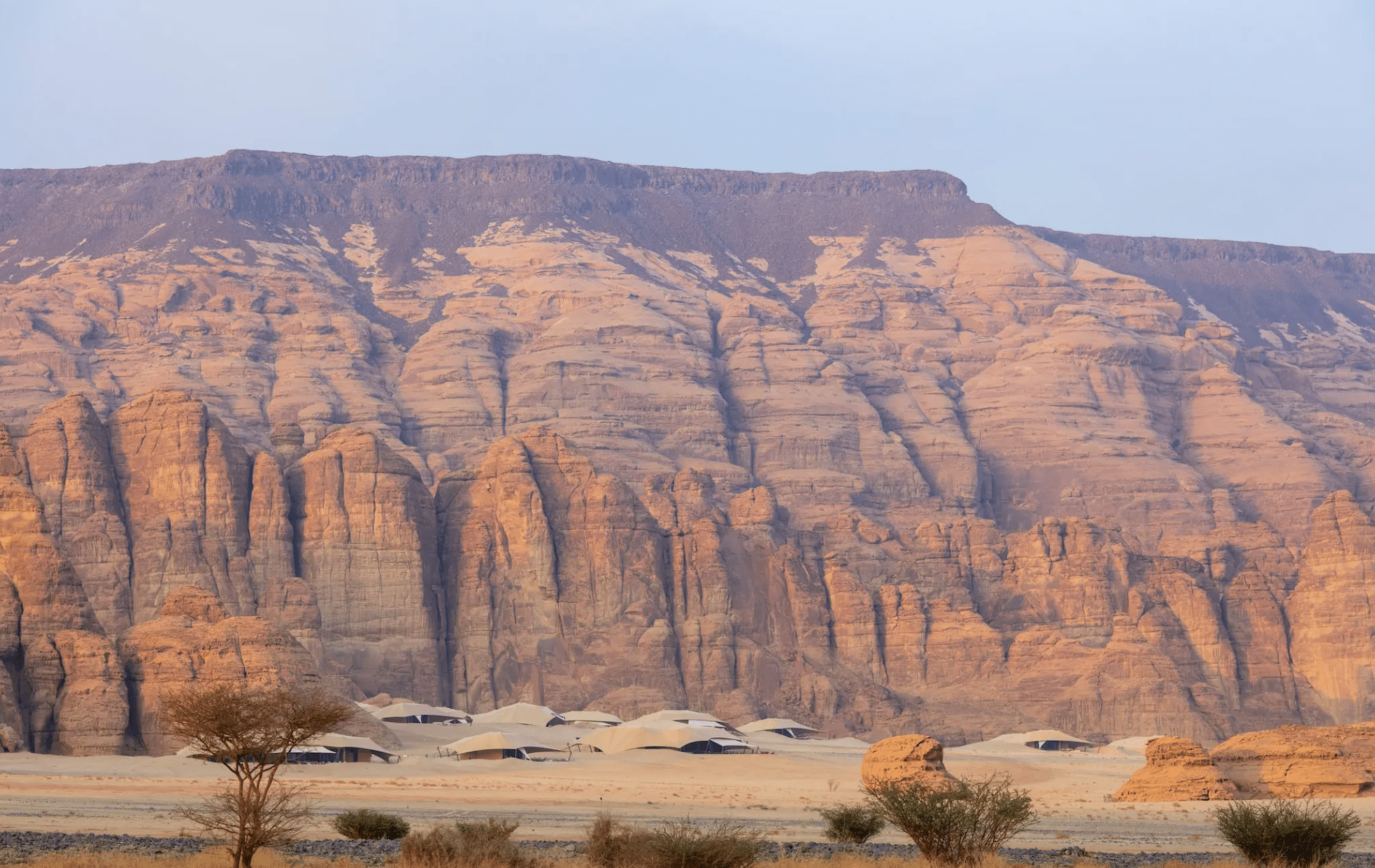 Banyan Tree Alula