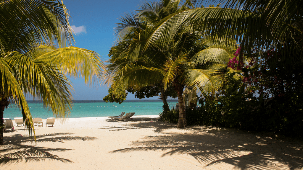British Aitways Palm Trees Sandy Beach Jamaica Kingston
