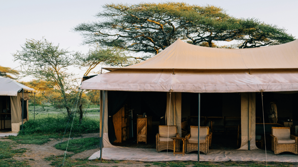 Safarizelt in der Savanne des Serengeti Nationalparks mit Schirmakazie