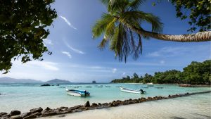 Seychellen Luca Cavallin