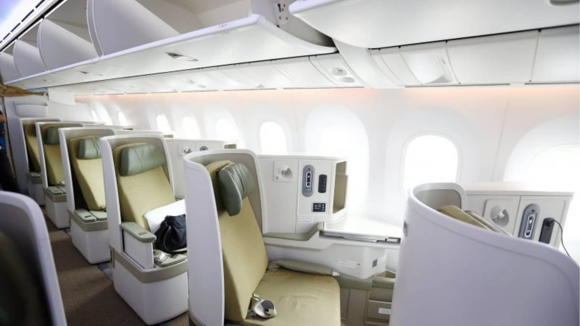 Vietnam Airlines Boeing 787 10 Business Class