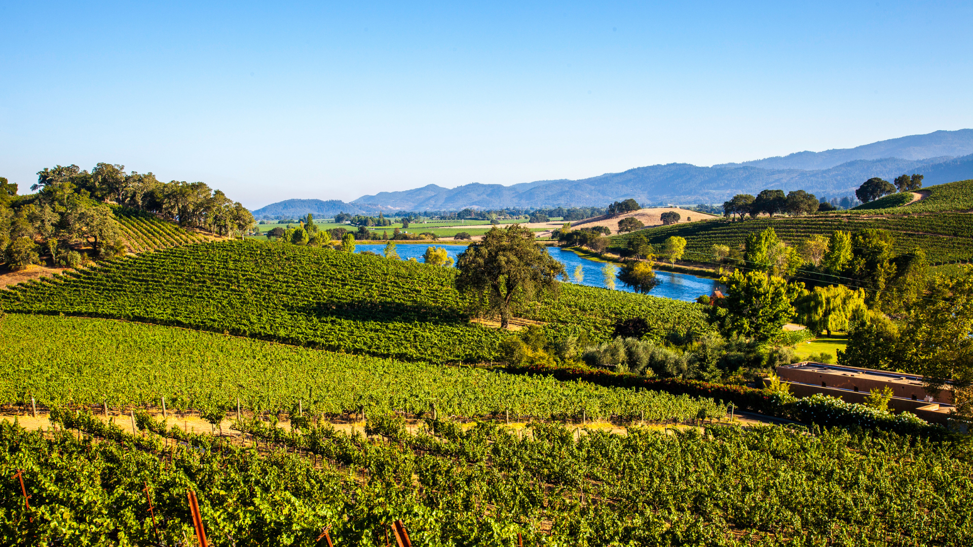 Napa Valley Landschaft