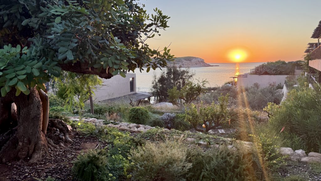 six-senses-ibiza-aussicht-bucht
