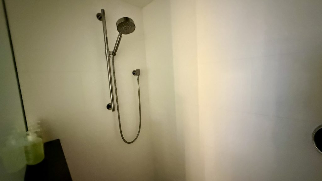 w-toronto-zimmer-dusche